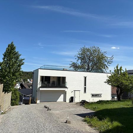 Temis Apartment, Private New 1 Bed Room And 1 Living Room With Sofa Bad And Lagre Kitchen, Share With Nobody Oslo Dış mekan fotoğraf